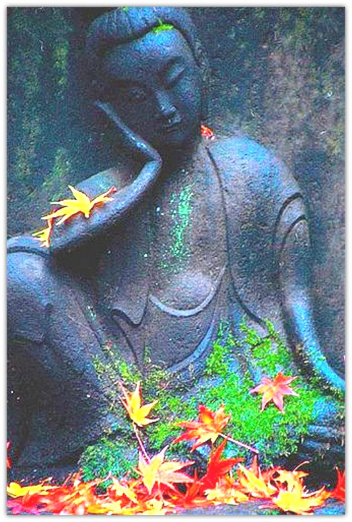 BuddhaAndLeaves_1A_984351579[1]