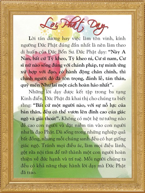 loi-phat-day[1]