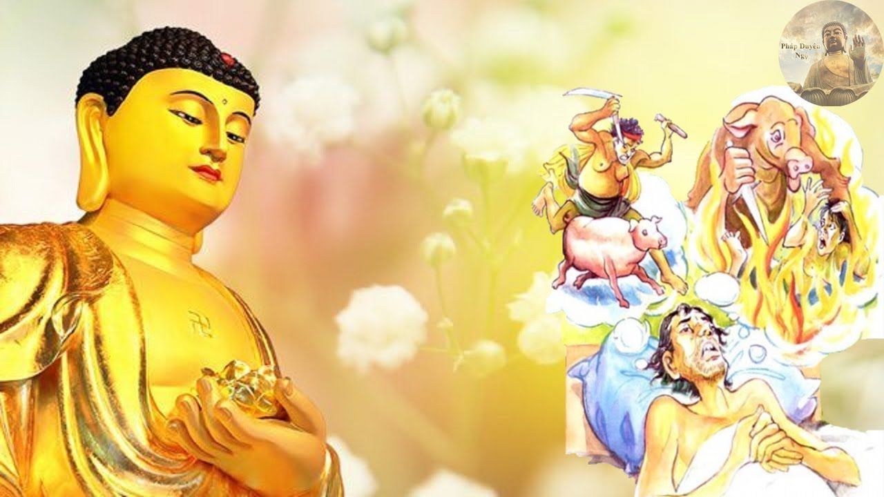 sat-sinh-2-1530-0859-07181
