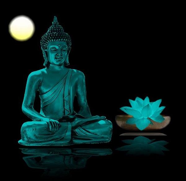 Giới Thiệu Pháp Trụ (dharmasthiti) Và Pháp Vị (dharmaniyāmatā) Trong