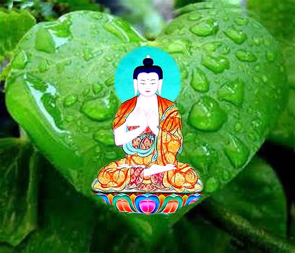Nhận Ra Rằng Mình Không Thể Tồn Tại Trong Và