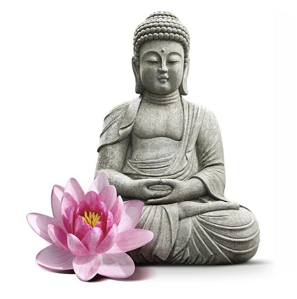 Tổng Luận Ý Nghĩa Thọ Trì Trong Kinh Năng Đoạn