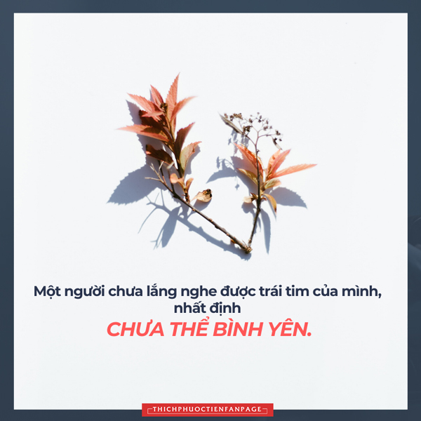 Bình yên ở đâu? - Suy Ngẫm