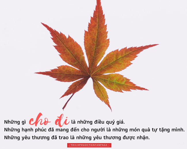 Cho là nhận - Suy Ngẫm