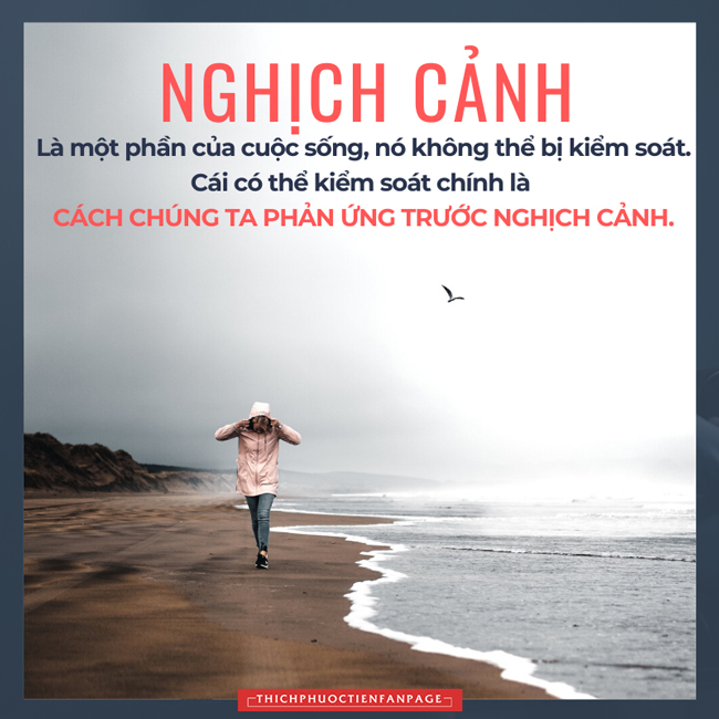 nghich canh