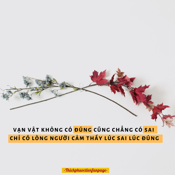 Hãy sống tốt - Suy Ngẫm