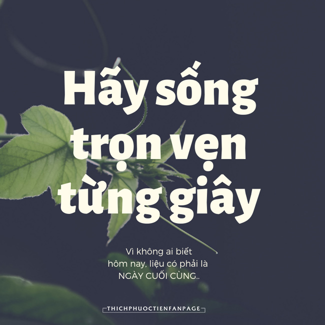 Hãy sống trọn vẹn từng giây