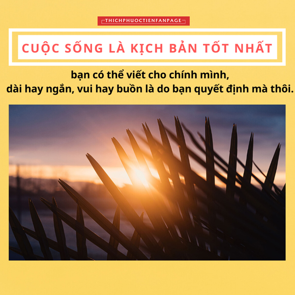 cuoc song la kich ban tot nhat