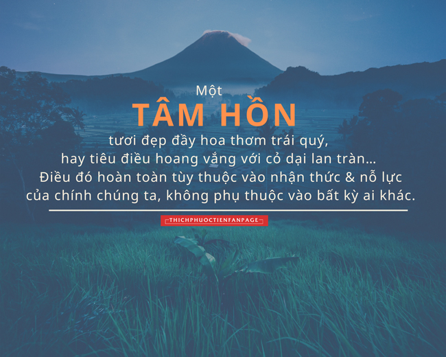 Nuôi dưỡng tâm hồn - Suy Ngẫm