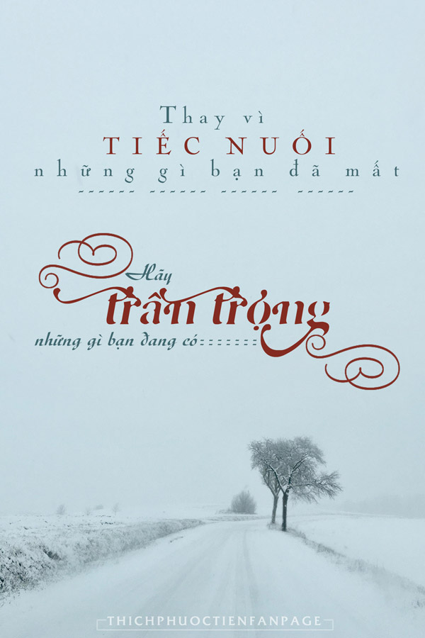 Sống đời tự tại - Suy Ngẫm