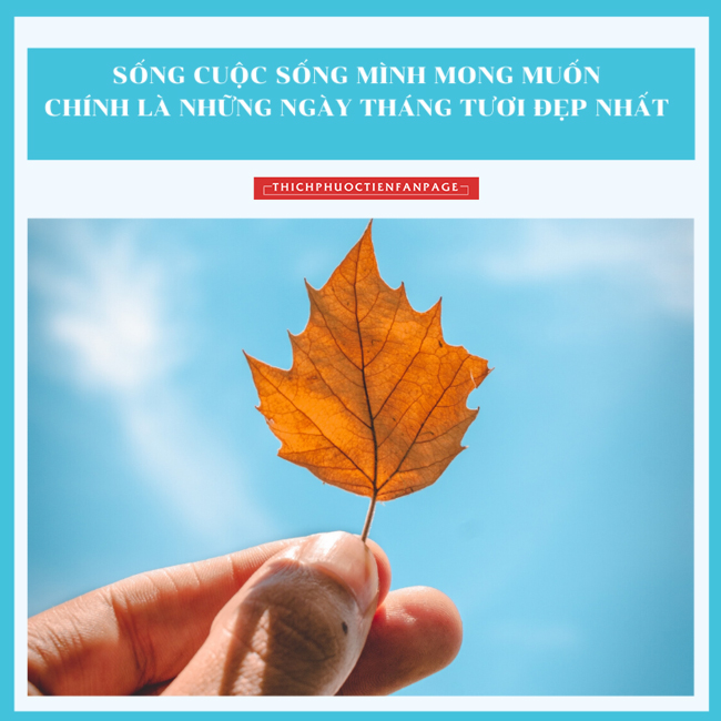 Sống ý nghĩa mỗi ngày