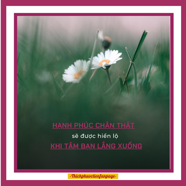 tam chung ta nhu chu ngua hoang