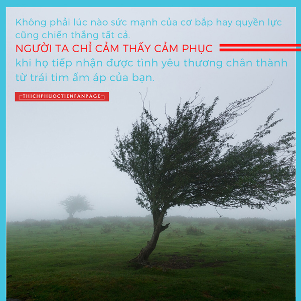 Yêu thương chân thành... - Suy Ngẫm