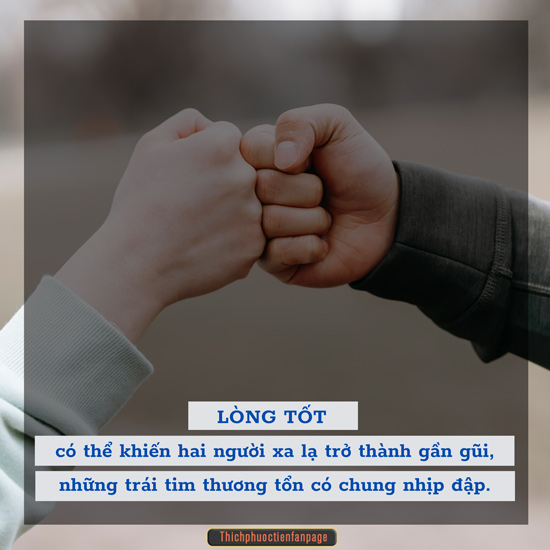 Lòng tốt - Suy Ngẫm