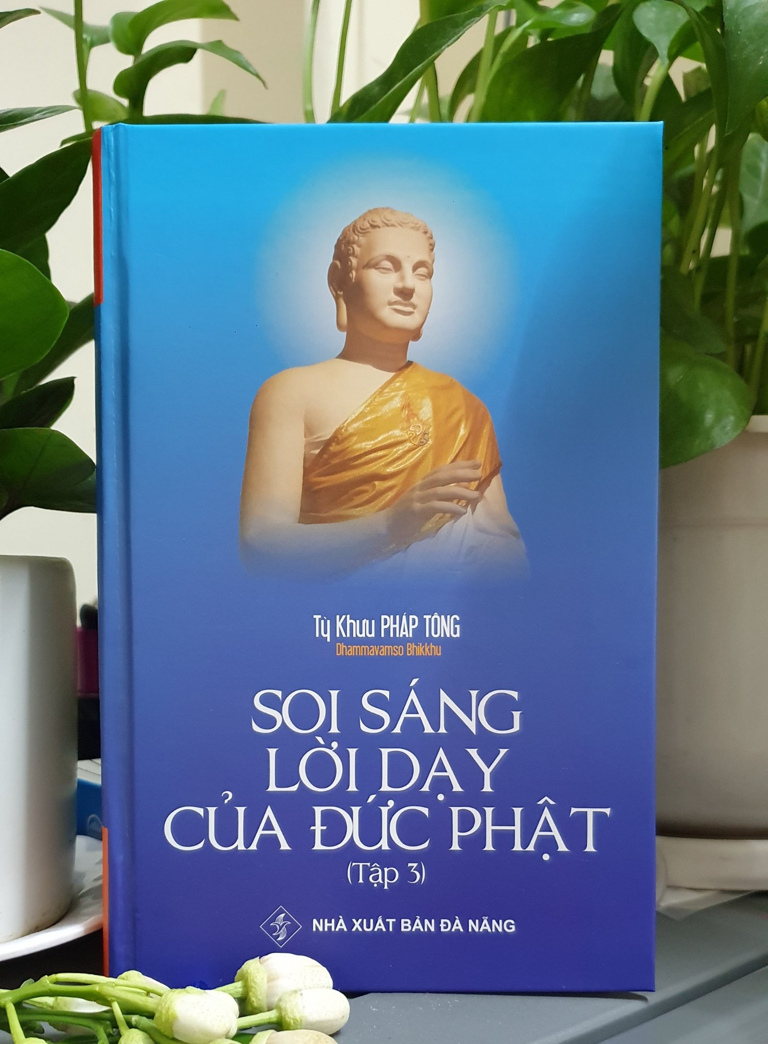 Sách PDF Soi sáng lời dạy của Đức Phật - HT Pháp Tông tập 3